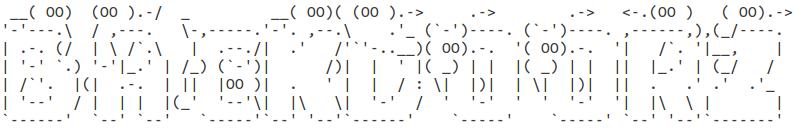The hacker's ASCII art, which reads "backdoorz."