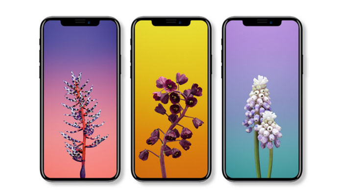 How to Change the Wallpaper on iPhone X? - TechNadu