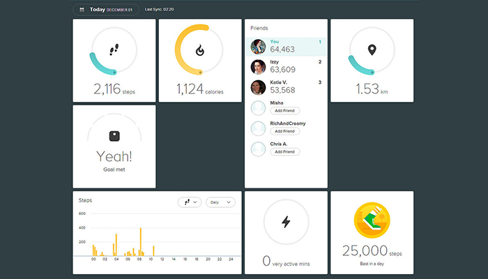 fitbit coach cost