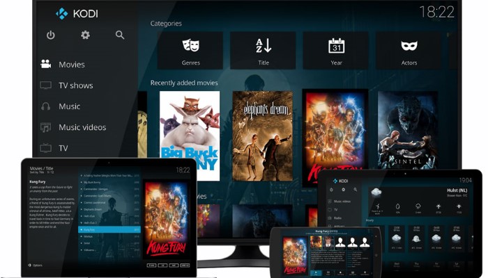 kodi leia 18.9