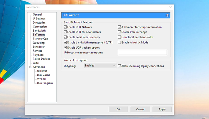 uTorrent BitTorrentオプション