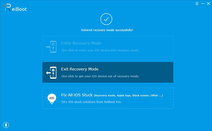 ReiBoot Pro Review - Exit Recovery Mode