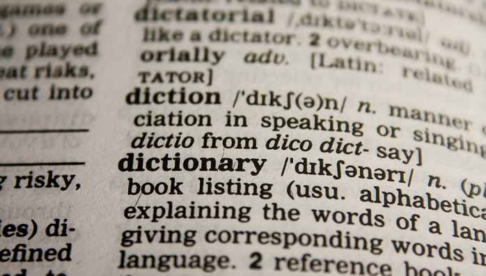 Dictionary Page