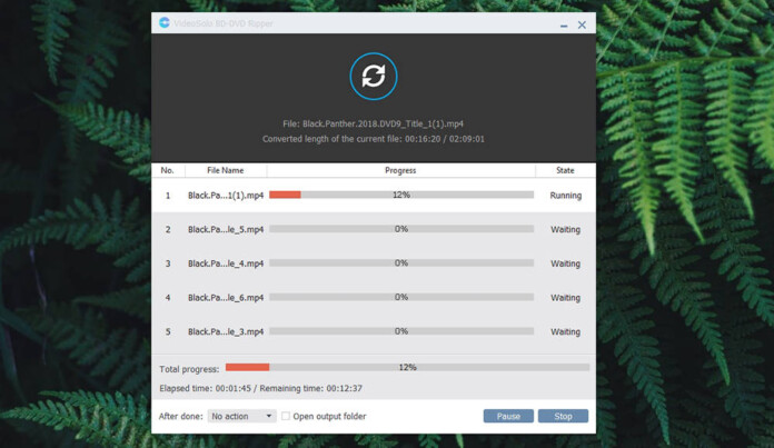 videosolo bd dvd ripper