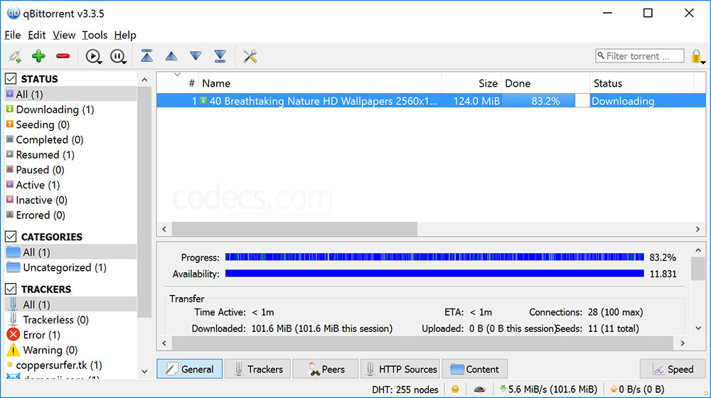 qbittorrent ipv6