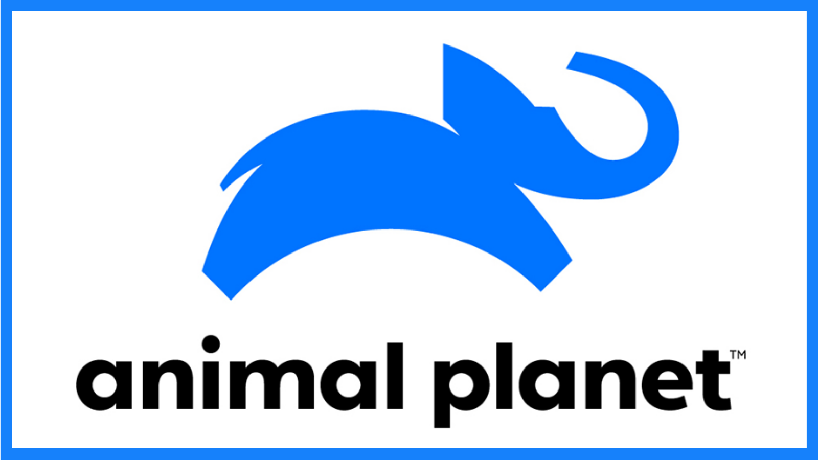 How to Watch 'Animal Planet' Online - Live Stream the Channel!