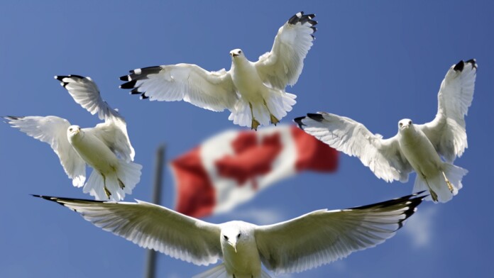 ISPs in Canada Can Charge Money to Expose Pirates