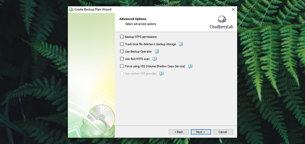 CloudBerry Backup - Advanced Options