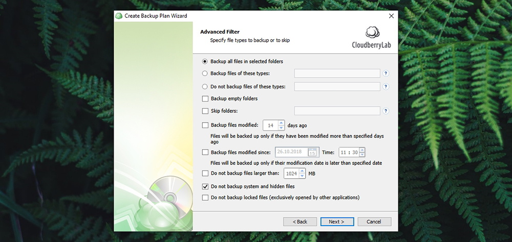 CloudBerry Backup - Backup Filter