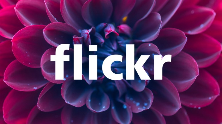 Flickr Photo Sharing Service
