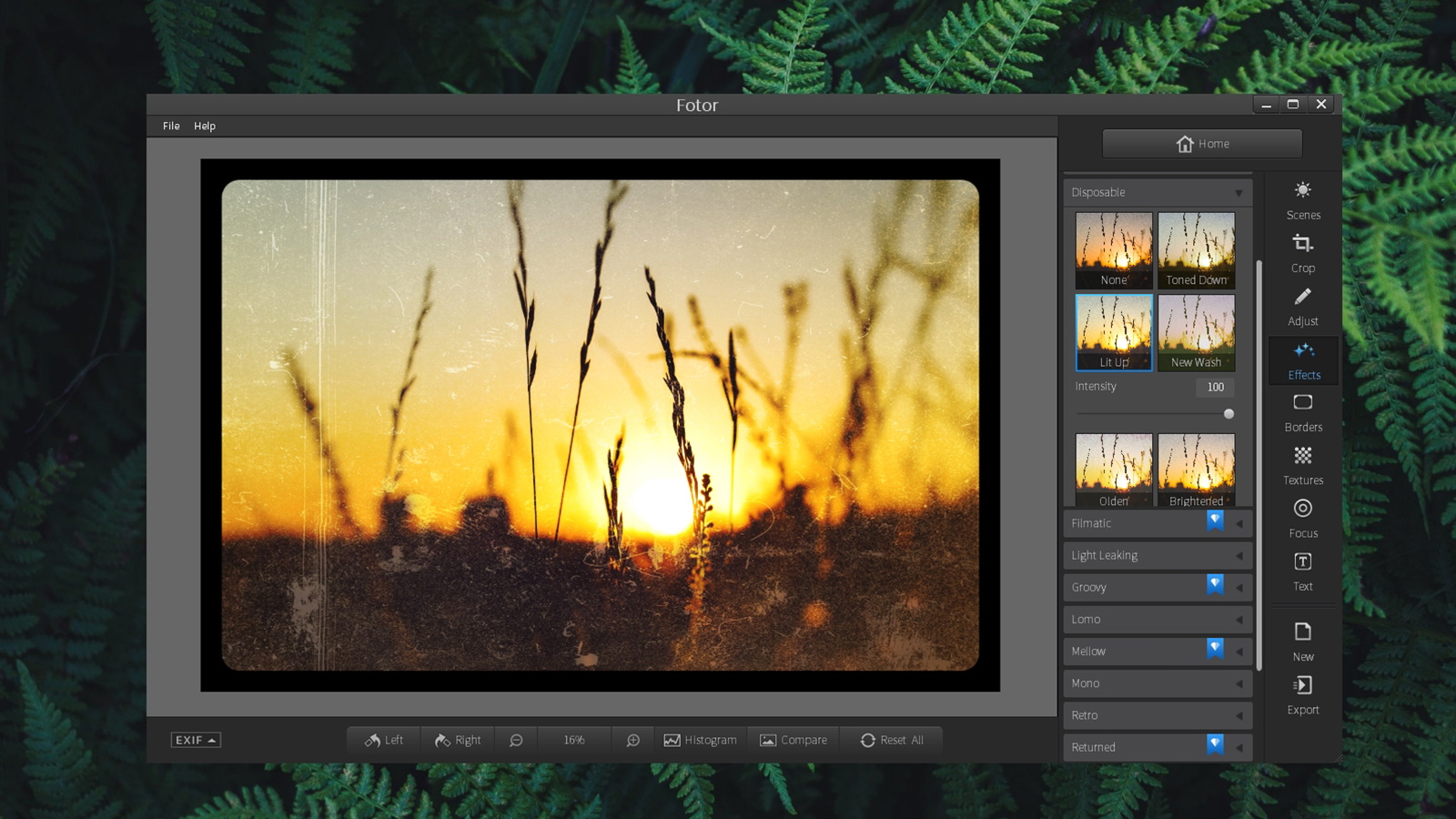 Fotor Review: Online Photo Editor with HDR Support & More