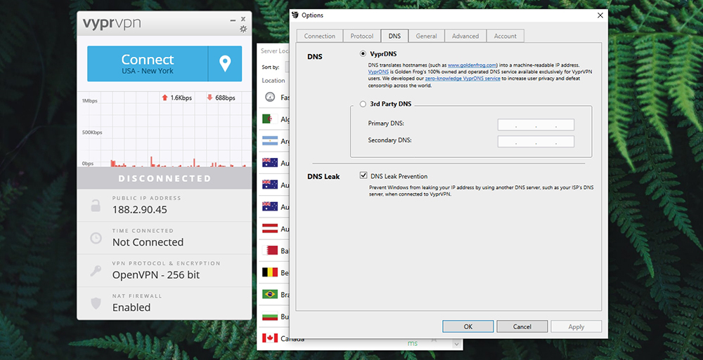 VyprVPN Review - DNS Settings