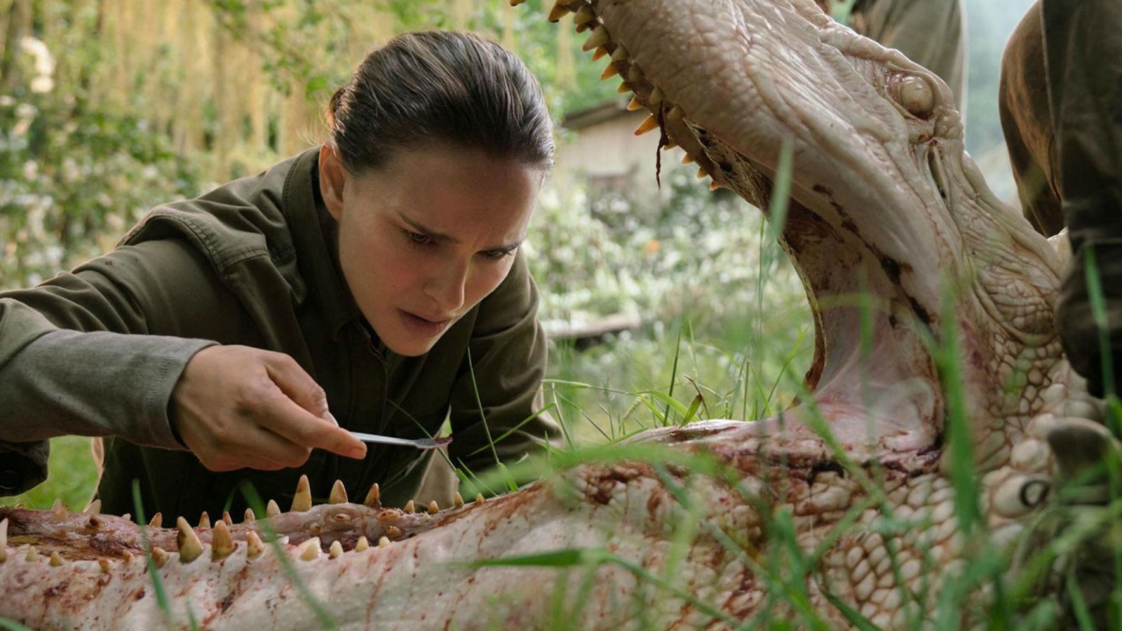 Annihilation comes to Hulu