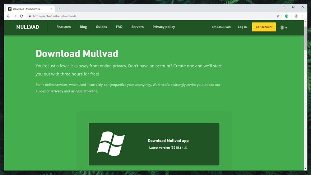 mullvad vpn review 2020