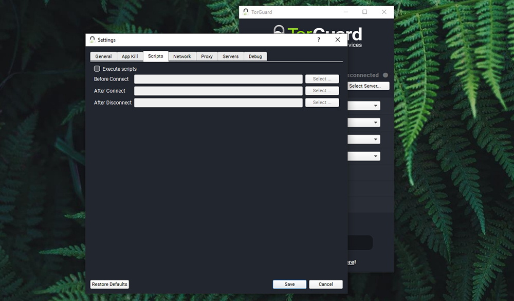 TorGuard Review - Scripts
