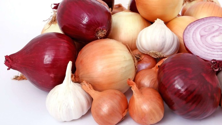 How Do Onion Domains Work