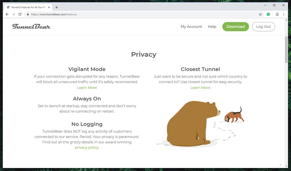 TunnelBear VPN Prominent Features