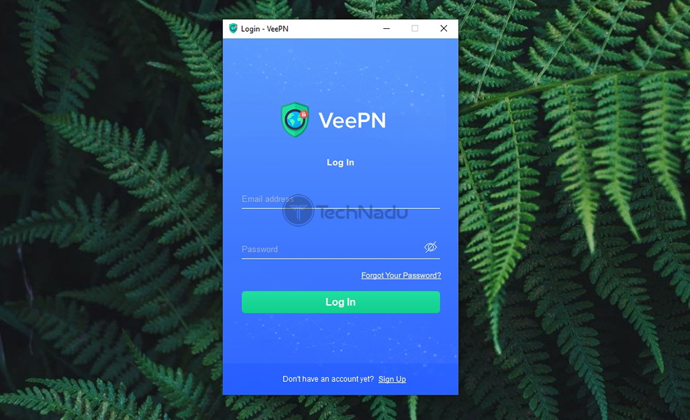 veepn review