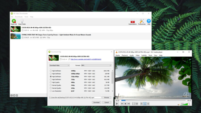 cnet 4k video downloader review