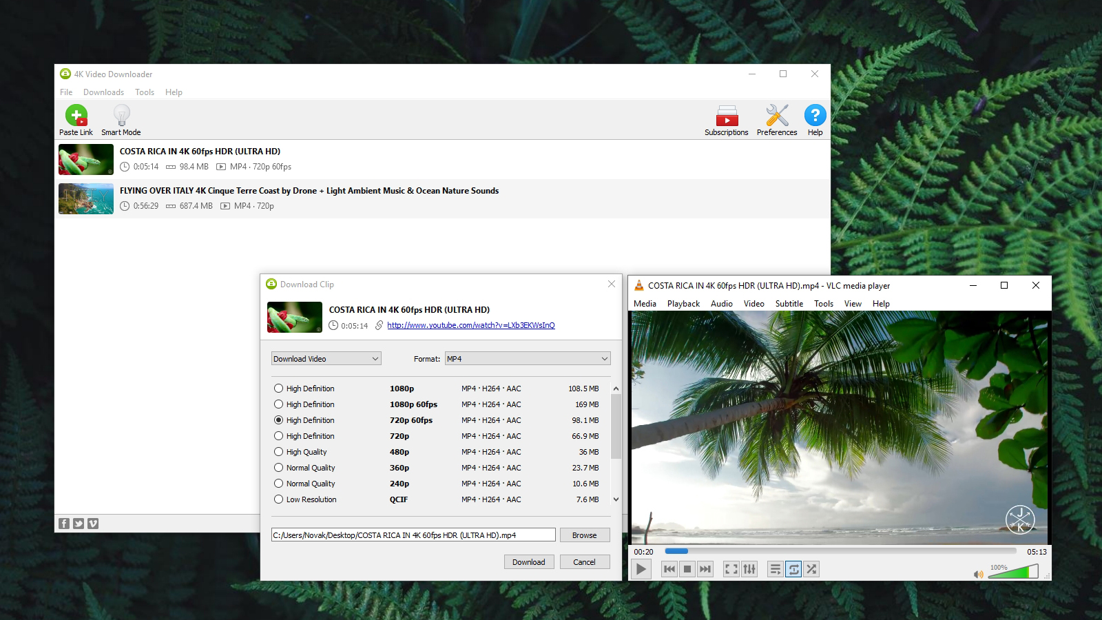 4kvideo downloader