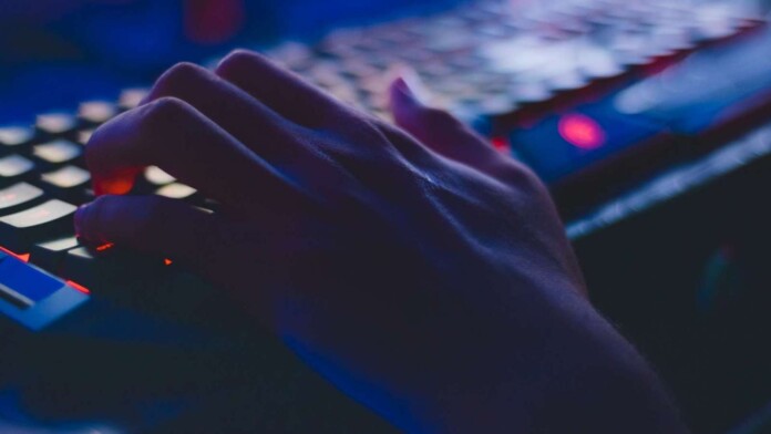 How To Gain Dark Web Access