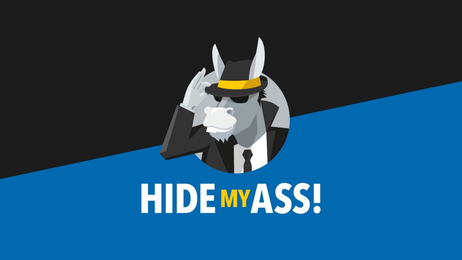 تعد VPN "HideMyAss" بعدم وجود سجل أطول لتحديد بيانات المستخدم 64