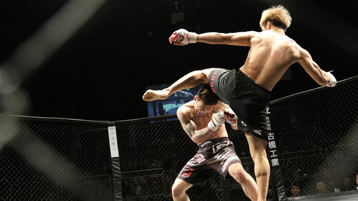 mma_fight mma_fight