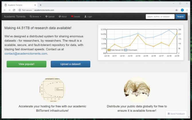 torrentz2 eu search engine future loops