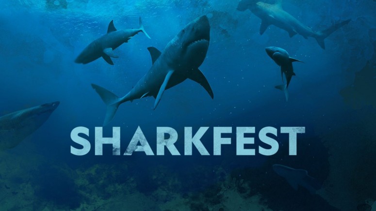 SharkFest poster