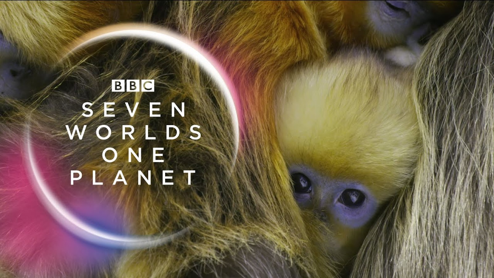 Seven worlds one planet stream new arrivals