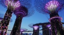 5 Best VPN for Singapore in 2020 Singapore Botanical Garden