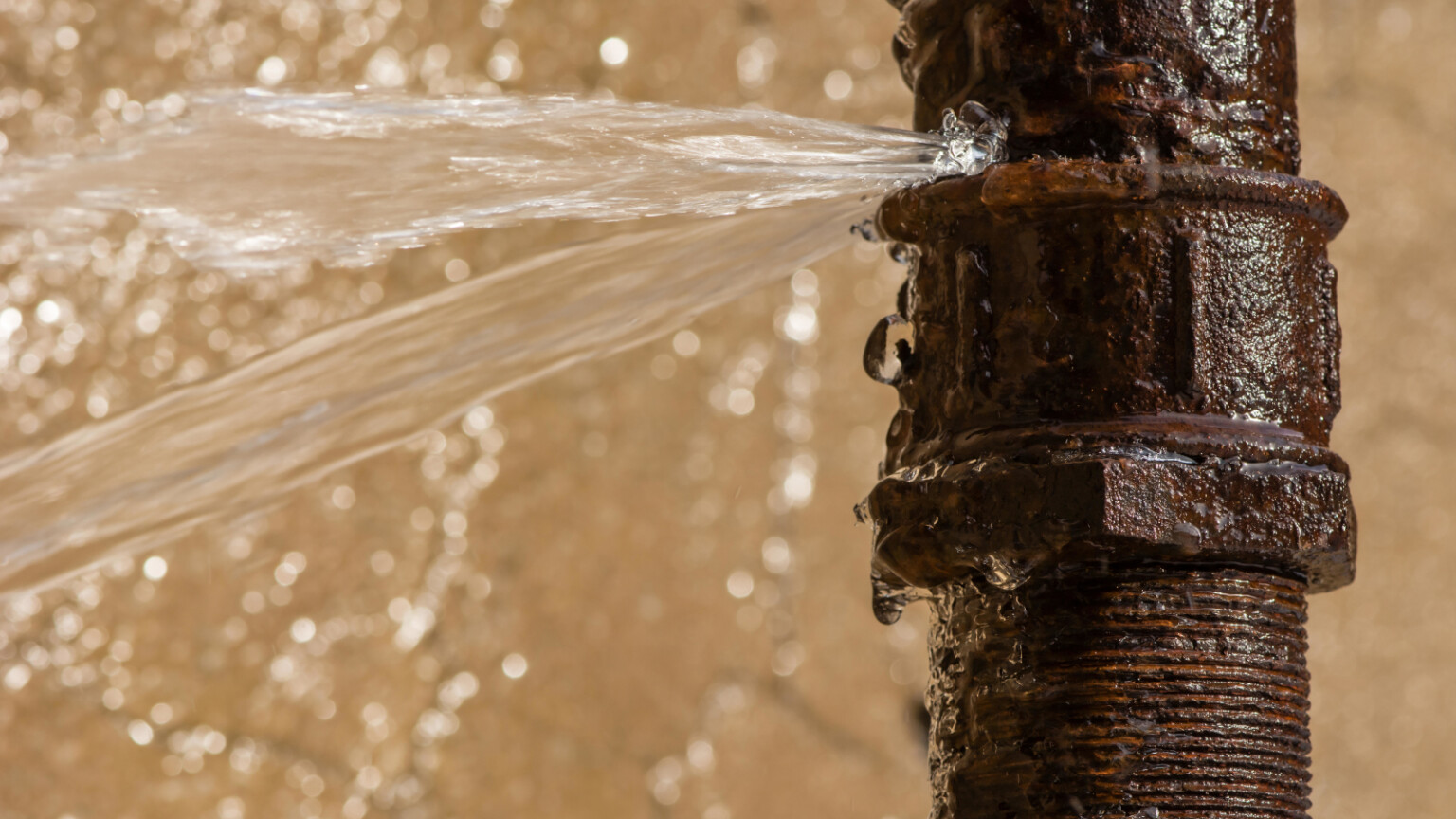 “OnlyFans” User Videos Leaked but the Platform Says There is no Breach