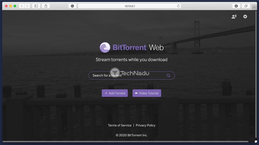 Bittorrent web macOS