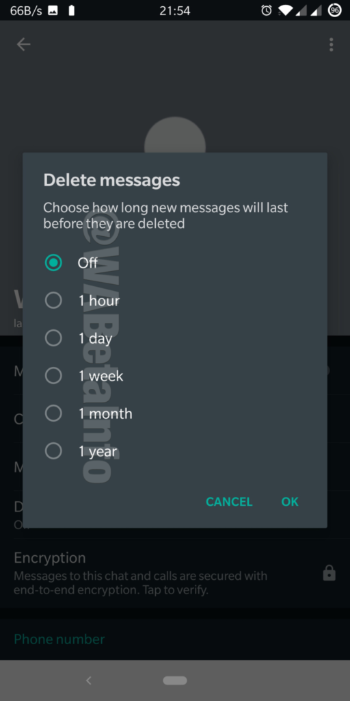 Delete_Message_Time