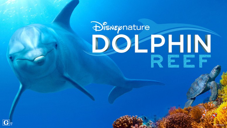 Dolphin Reef - Disney