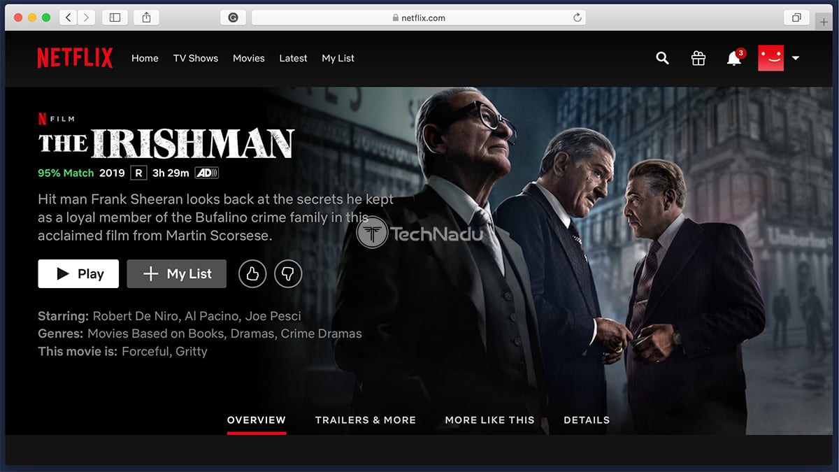 Netflix Synopsis The Irishman