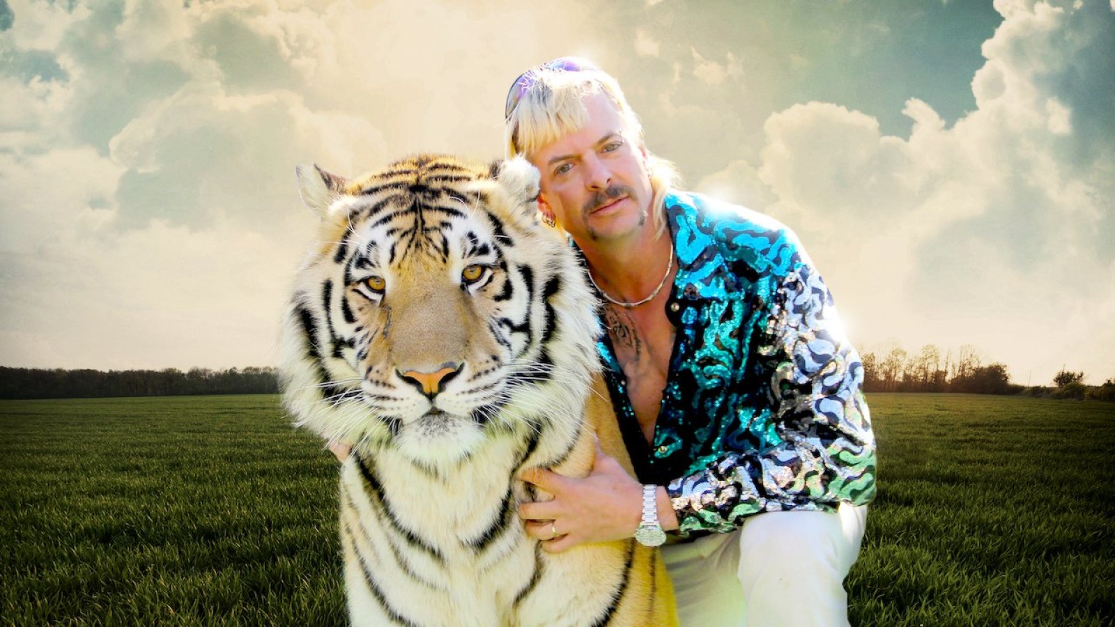 tiger king safari