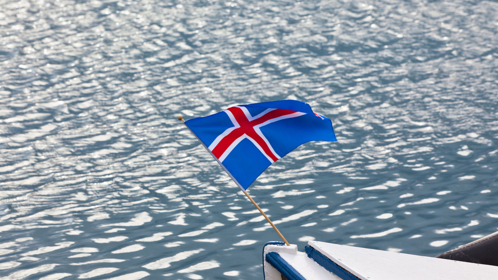 آيسلندا لديها مصدر مفتوح لتتبع تتبع الفيروس التاجي 202