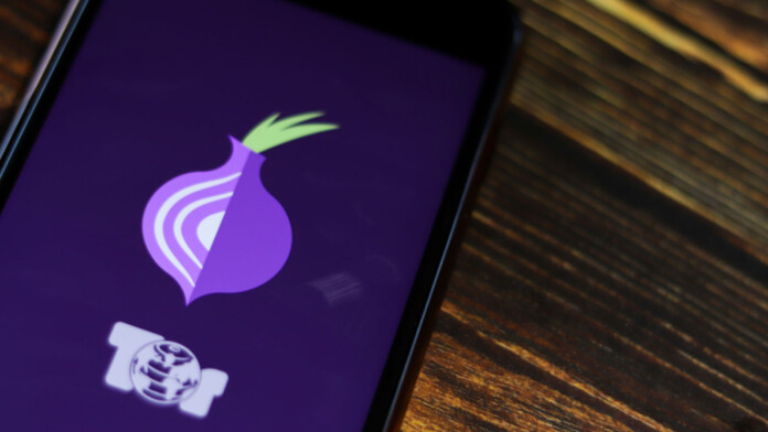 how to use tor browser to access the dark web