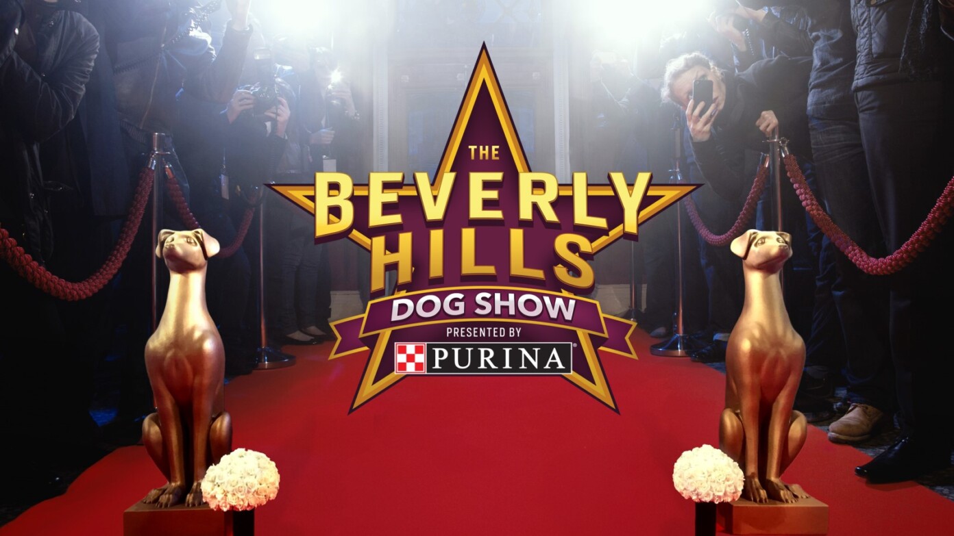 How to Watch 'The Beverly Hills Dog Show' Live Online TechNadu