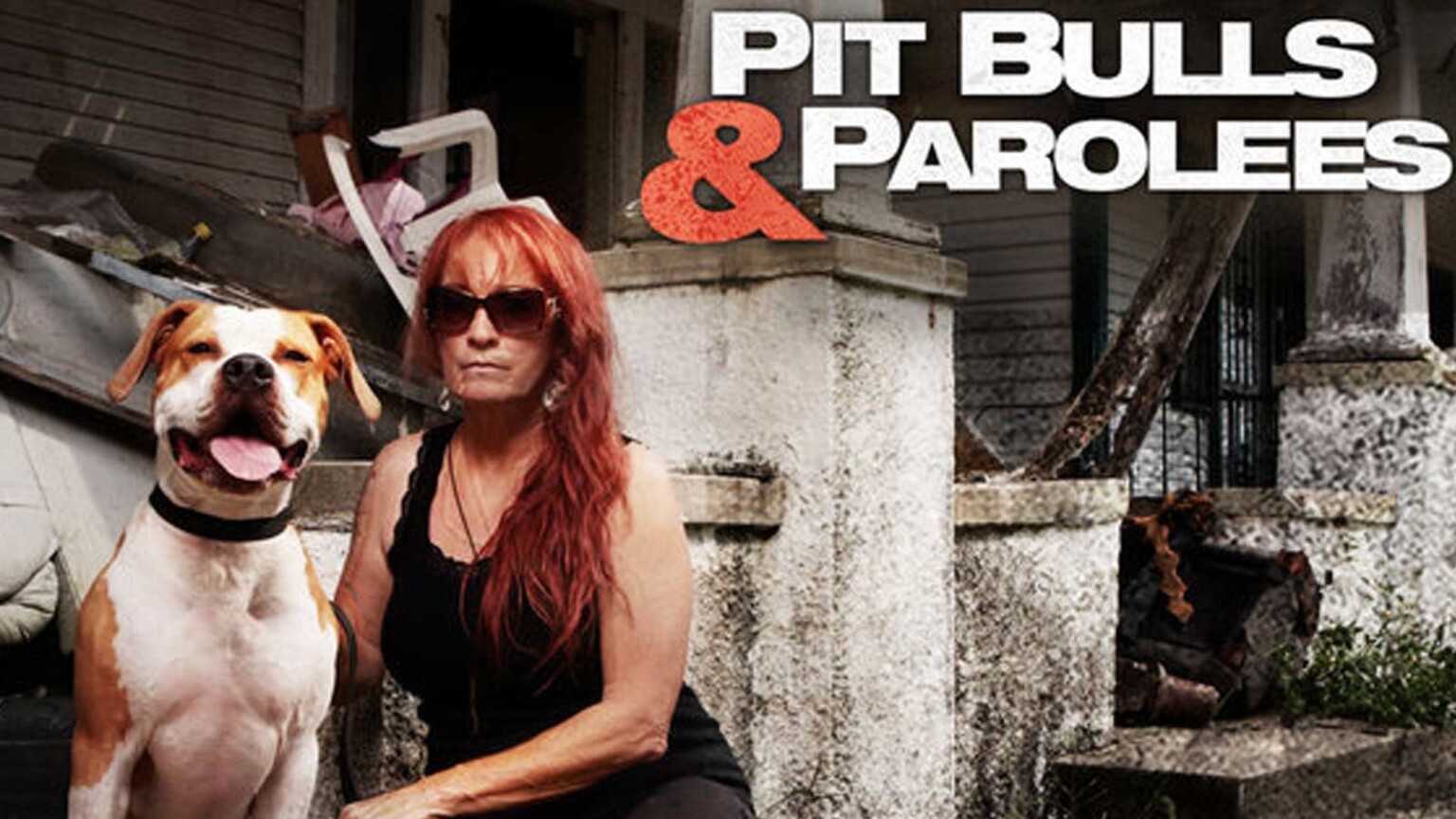 How to Watch 'Pit Bulls & Parolees' Online Live Stream Season 16