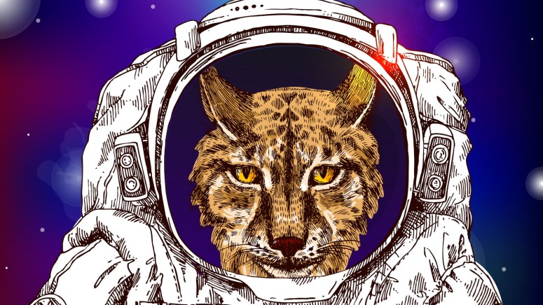 cosmic lynx