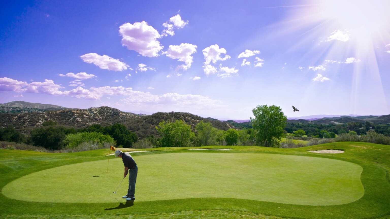 watch wgc