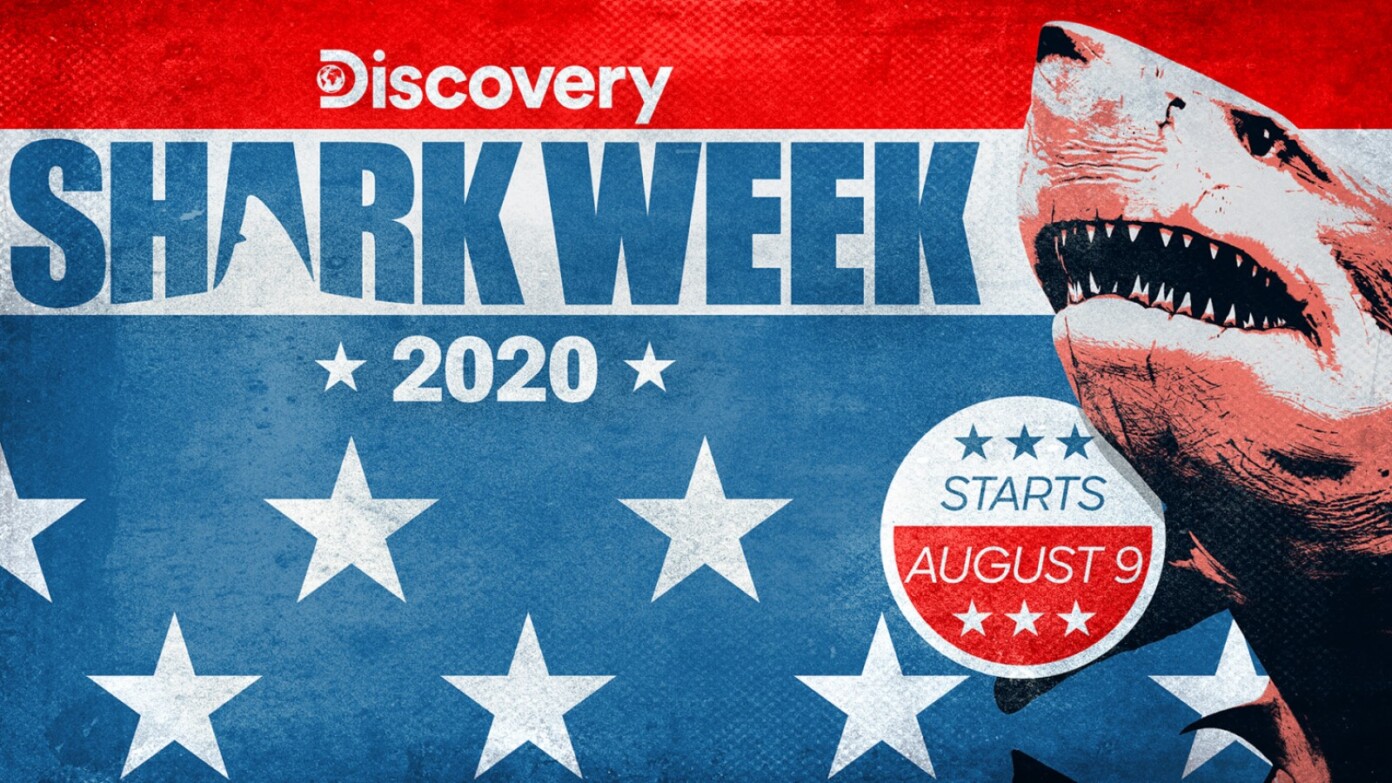 Shark Week 2020 Live Stream Schedule, Dates, Channel, How to Watch