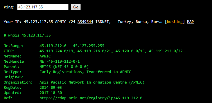 Verifying the location of a Turkish server from ExpressVPN with an online ping tool.