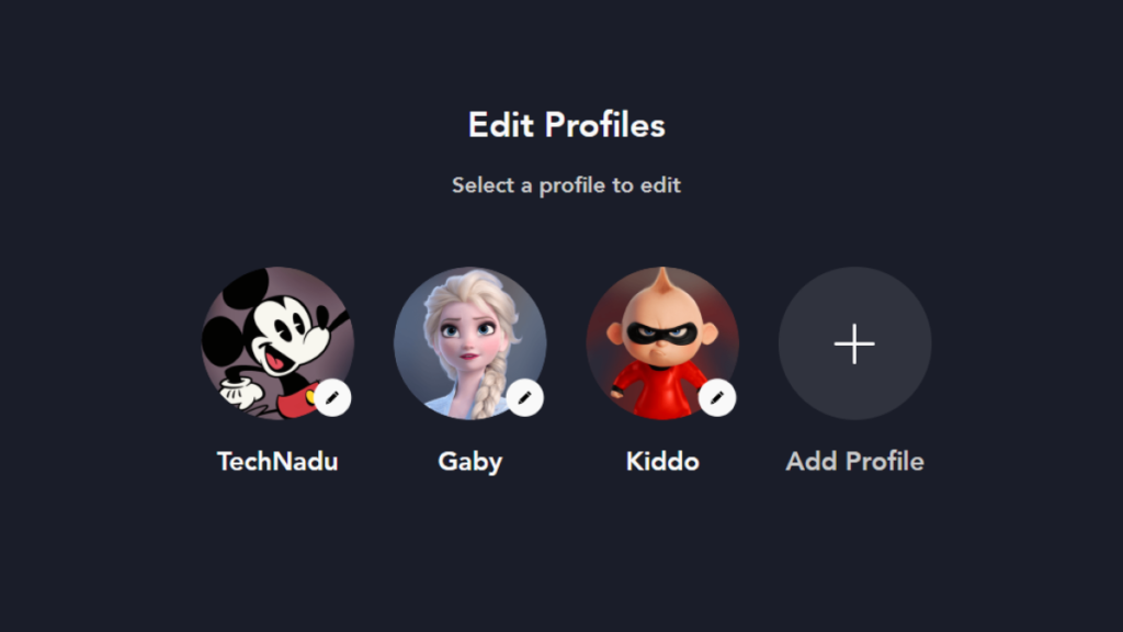 Disney Plus profiles
