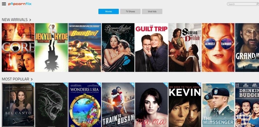 How to Watch Popcornflix Outside the US (5 Best VPNs Ranked)