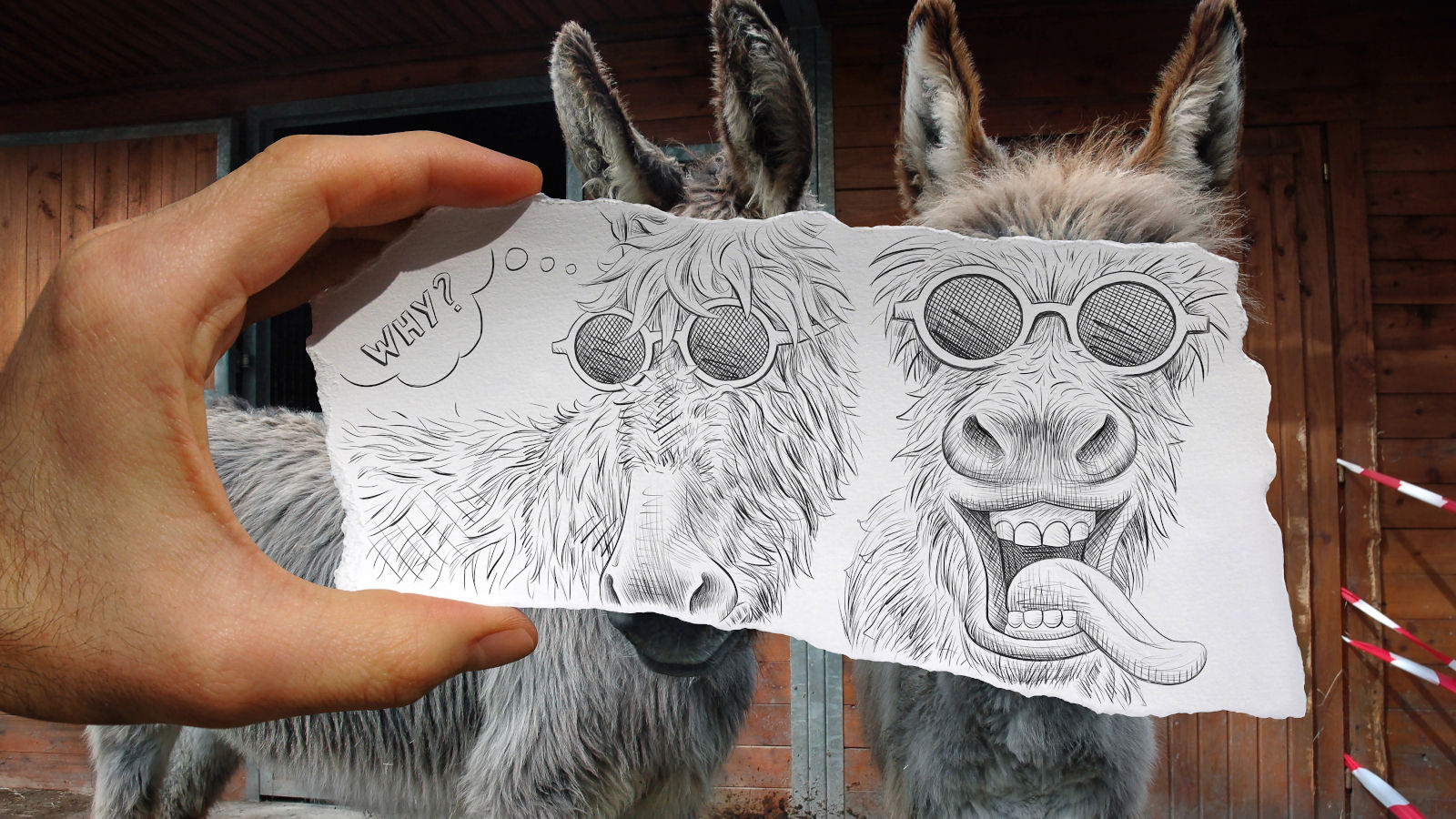money mules