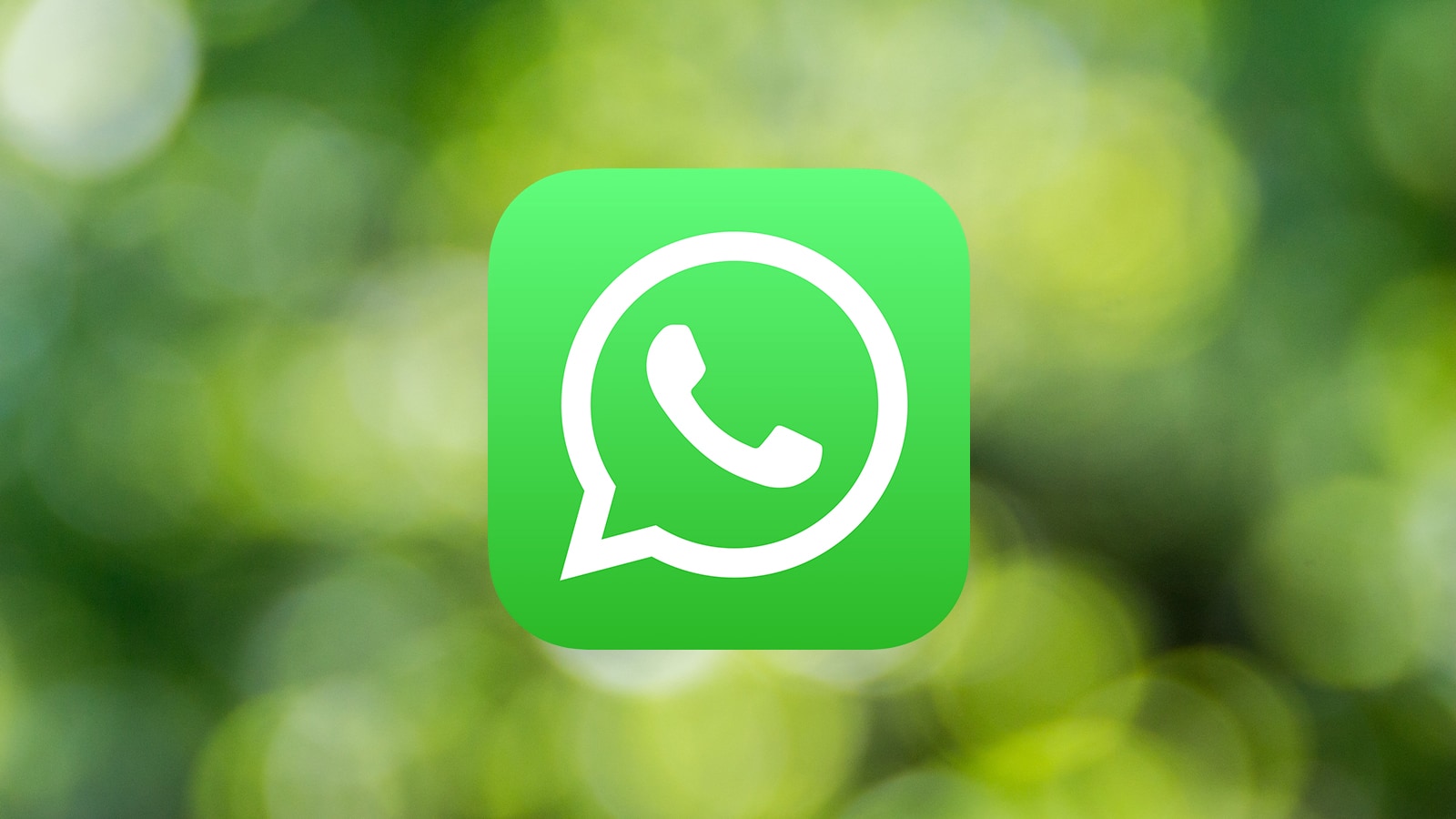 whatsapp web page