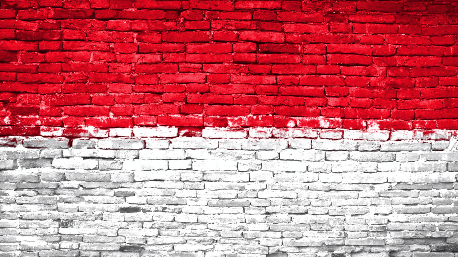 flag of indonesia